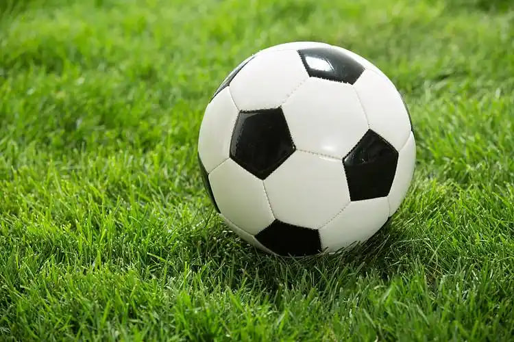 彩客网足球胜平负现场比分平台界面展示