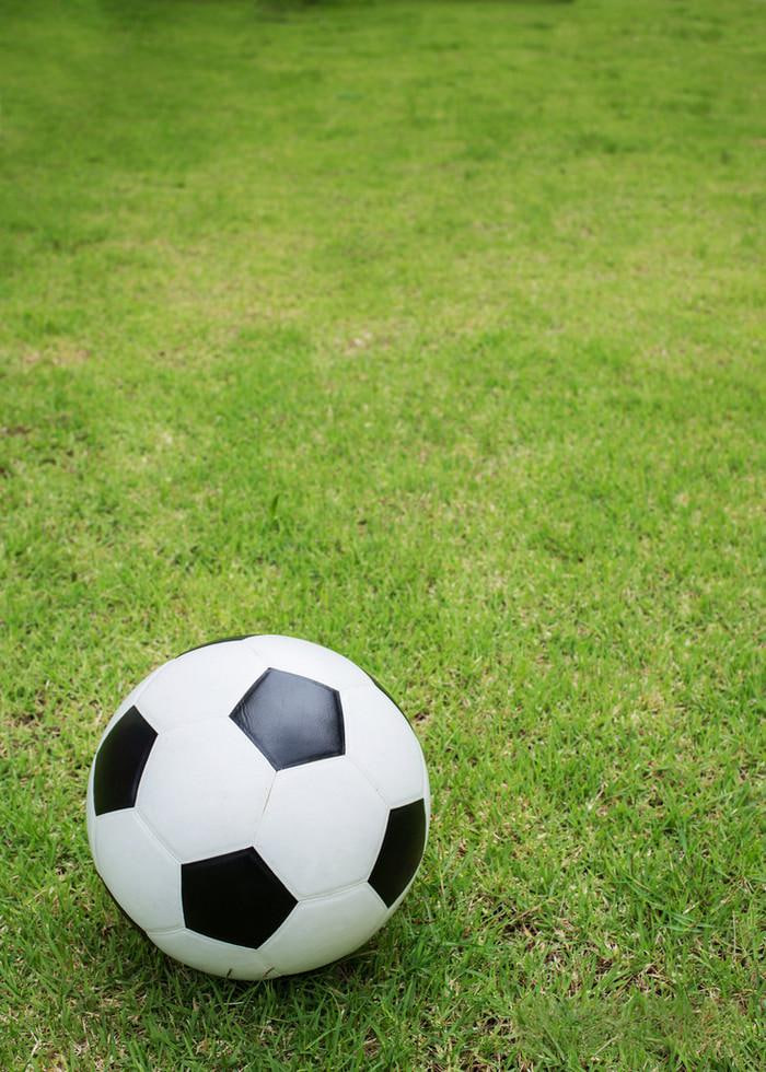 彩客网足球胜平负现场比分移动应用下载